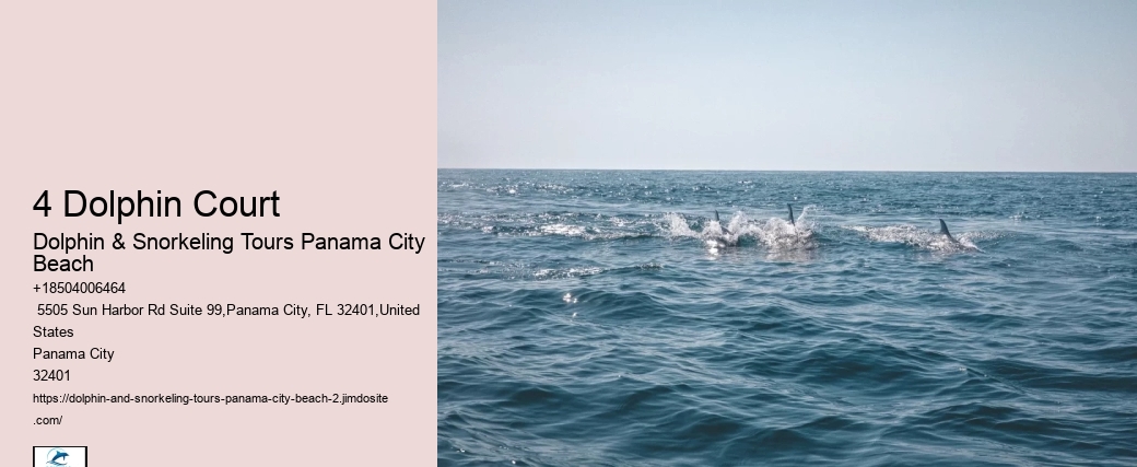 Snorkeling Tours Panama City