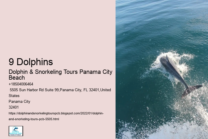 9 Dolphins