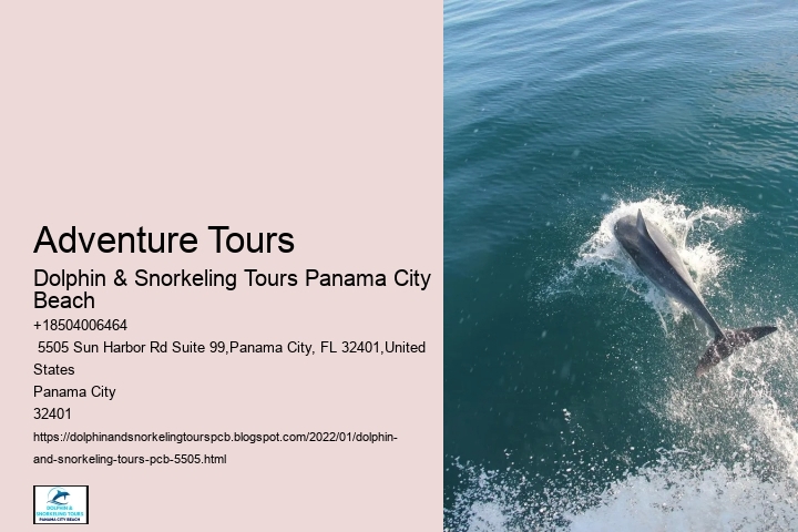 Adventure Tours