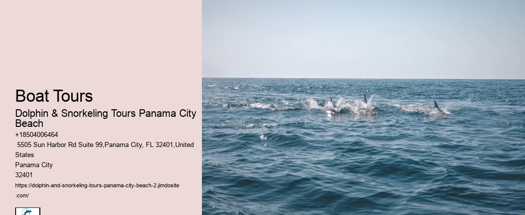 Where Is The Best Place To Go Shelling In Panama City Beach