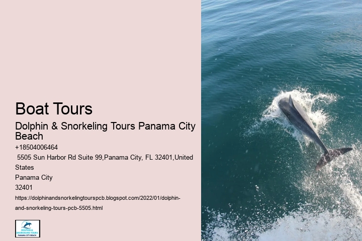 Boat Tours