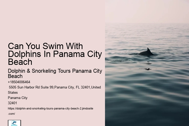 Dolphin Swim Boat Tours