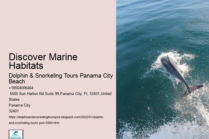 Discover Marine Habitats