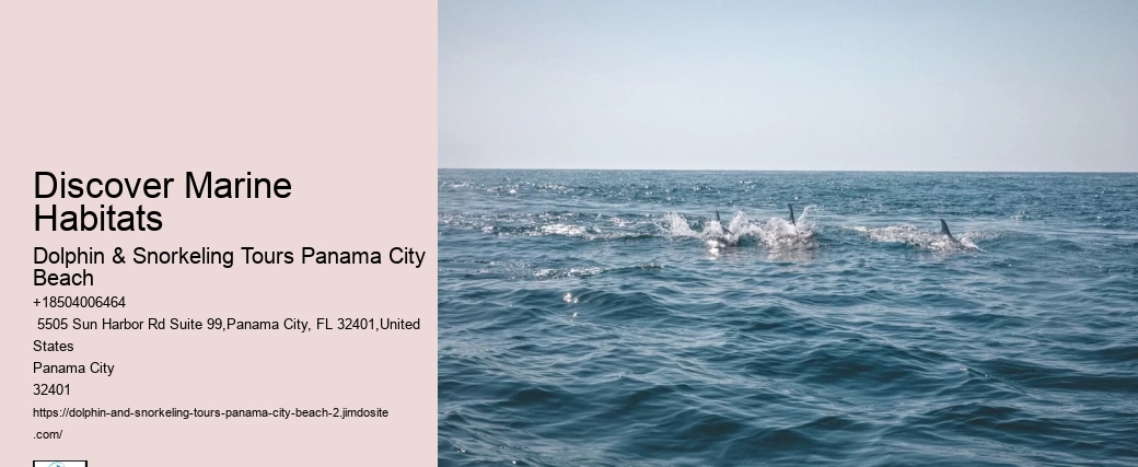 Are There Coral Reefs In Panama City Beach