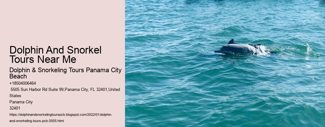Dolphin And Snorkel Tours Near Me