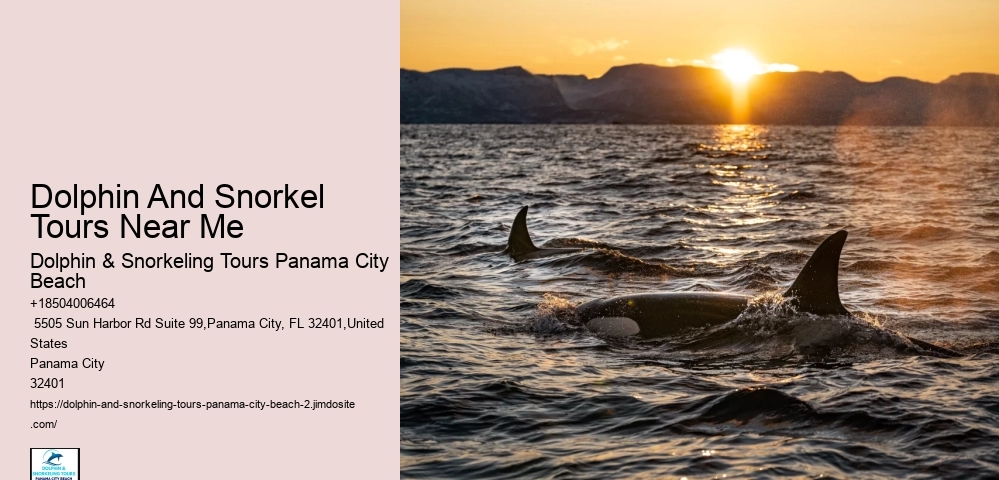 Guided Snorkel Trips