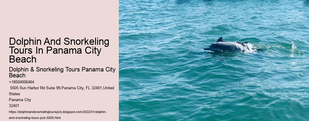 Dolphin And Snorkeling Tours In Panama City Beach