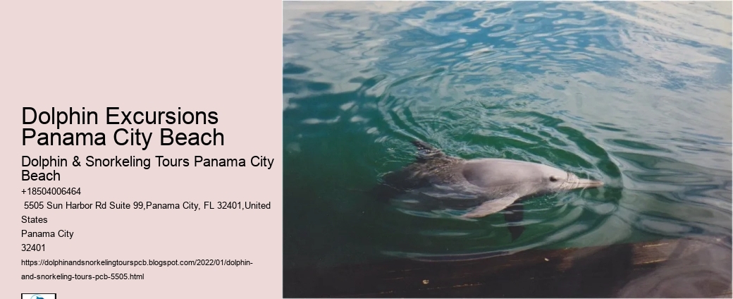 Dolphin Excursions Panama City Beach