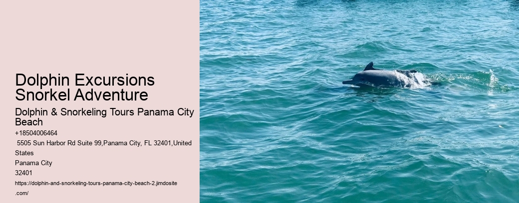 Difference Between The Way Dolphins And Sharks Swim