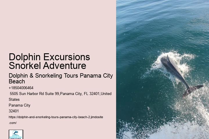 Shell Island Dolphin
