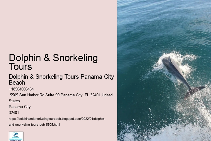 Dolphin & Snorkeling Tours