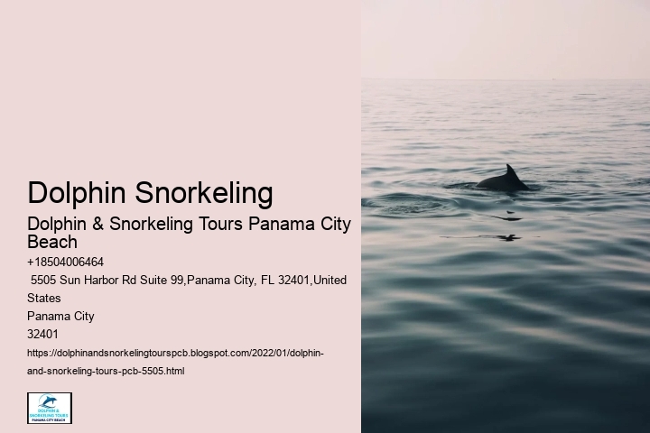 Dolphin Snorkeling