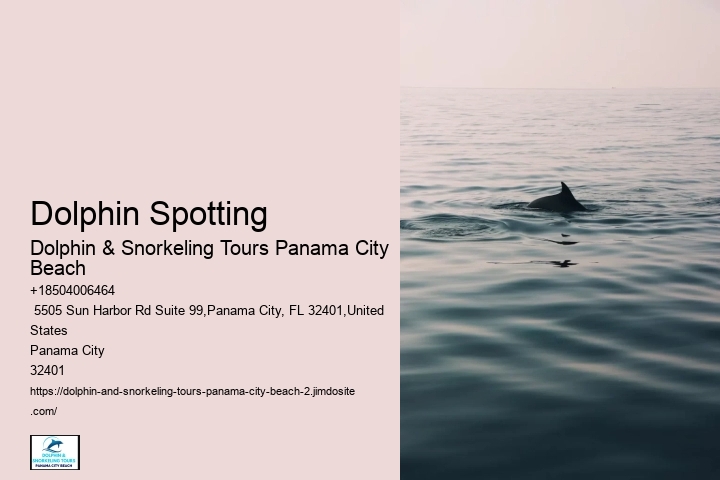 Dolphin Excursions Snorkel Adventure