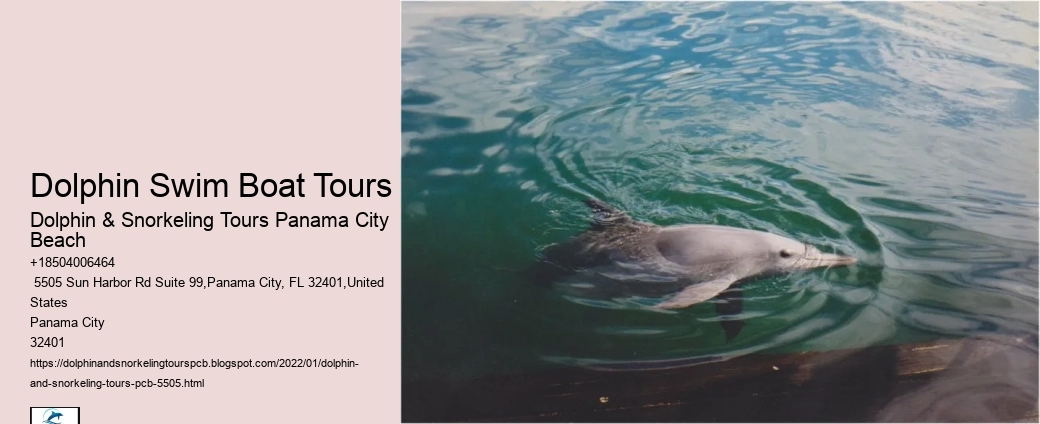 Dolphin Swim Boat Tours