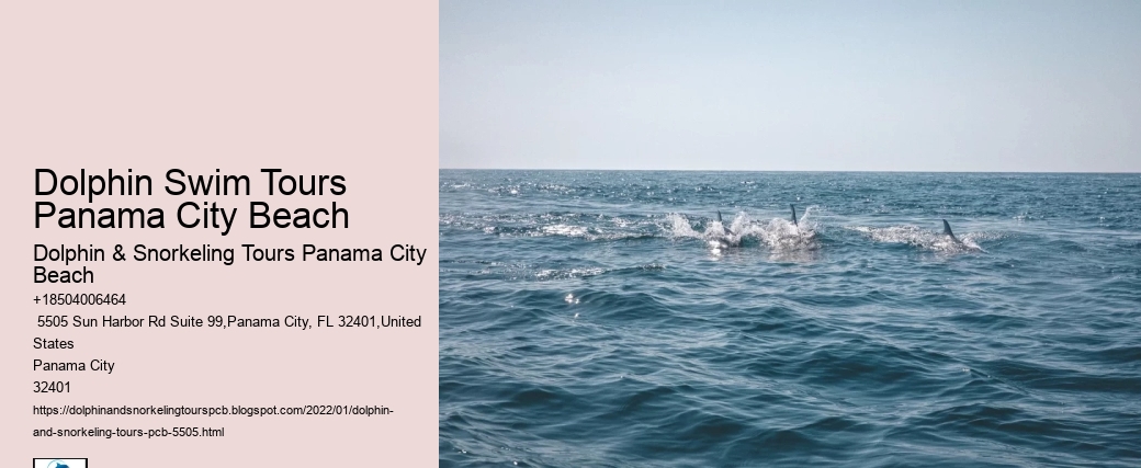 Dolphin Swim Tours Panama City Beach