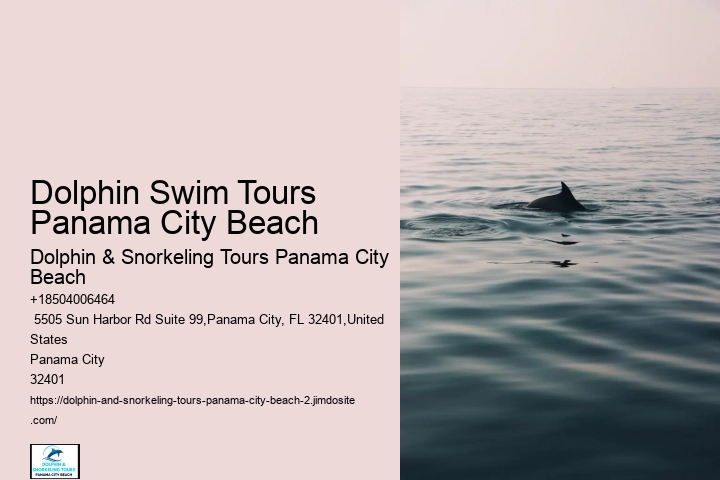 Dolphin Tours Near Me