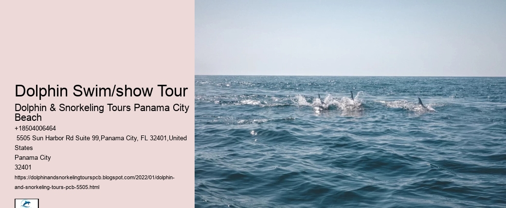 Dolphin Swim/show Tour