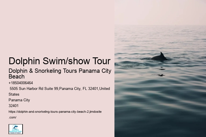 Whale Watching Tours