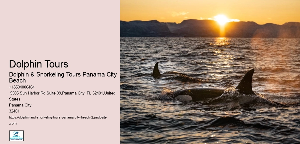Can You Snorkel Off The Beach In Panama