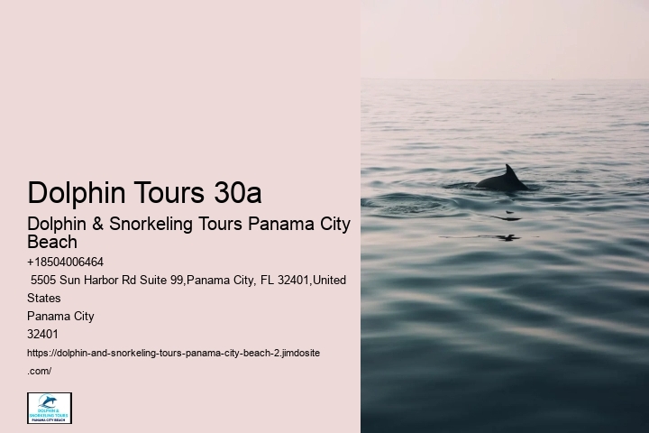 Scuba Diving Opportunities