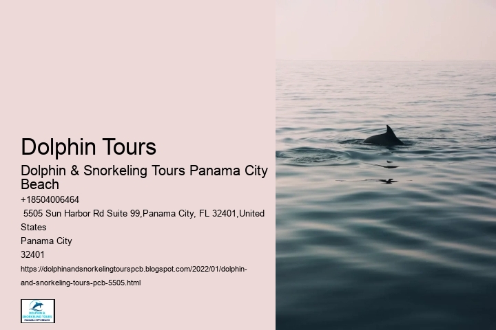 Dolphin Tours