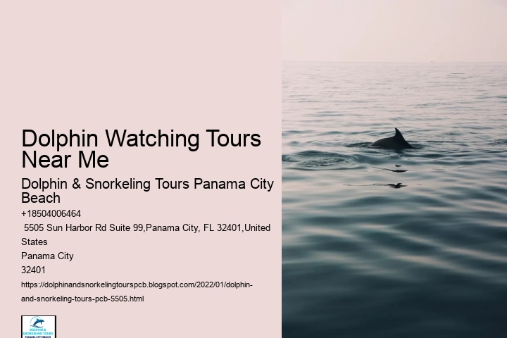 Dolphin Watching Tours Near Me