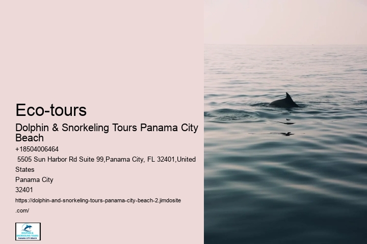 Dolphin Encounters