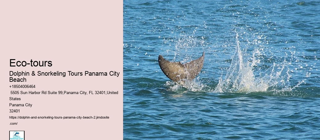 Adventurous Activities In Panama City Beach