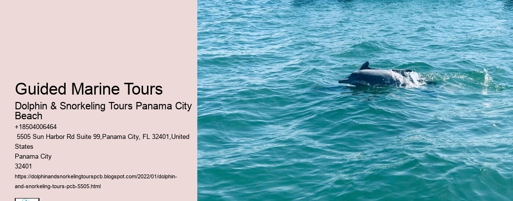 Guided Marine Tours