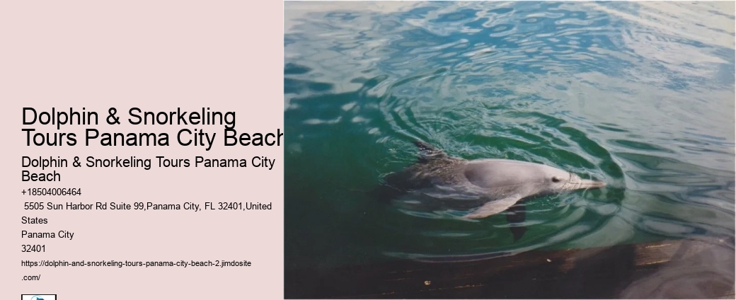 Marine Biology Lessons