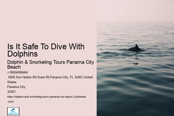 Do Dolphins Like Swimming With Humans