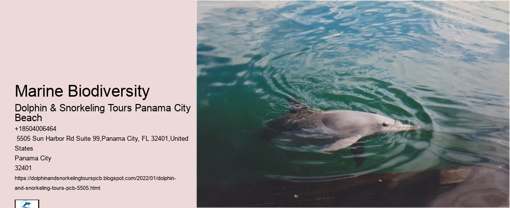 Marine Biodiversity