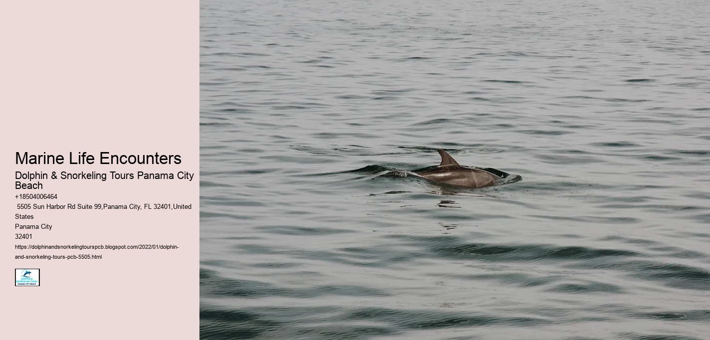 Marine Life Encounters