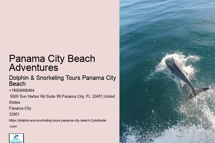 Dolphin-watching And More In Panama City Beach