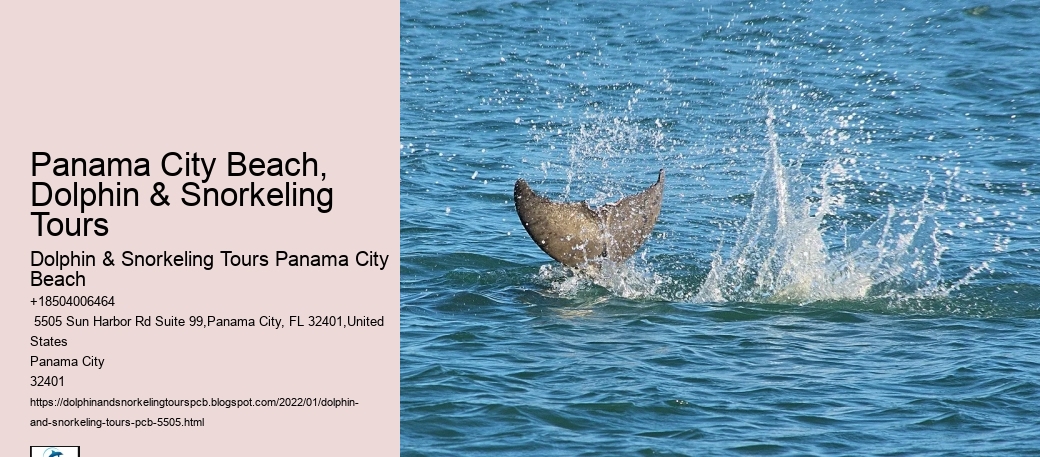 Panama City Beach, Dolphin & Snorkeling Tours