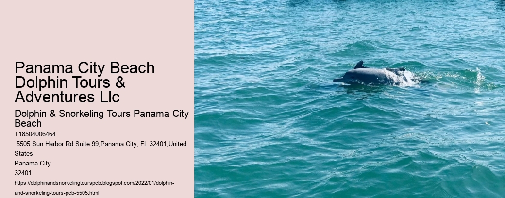 Panama City Beach Dolphin Tours & Adventures Llc