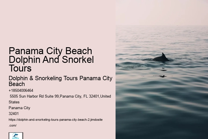 Dolphin & Snorkeling Tours In Panama City Beach Cost