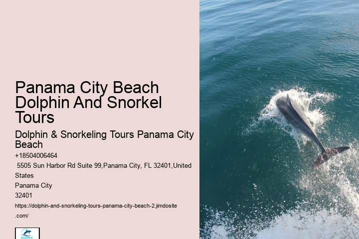 Dolphin And Snorkeling