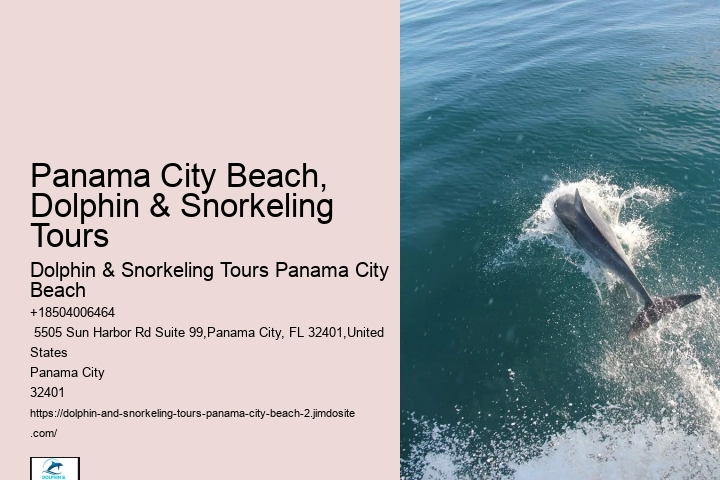 5 Helpful Tips For Snorkeling In Panama City Beach