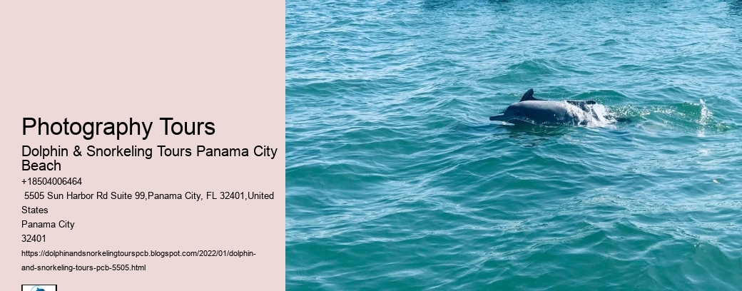 Photography Tours