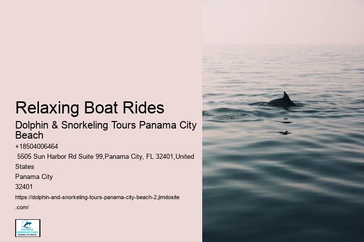 Is There A Weight Limit To Swim With Dolphins