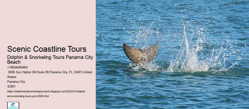 Scenic Coastline Tours
