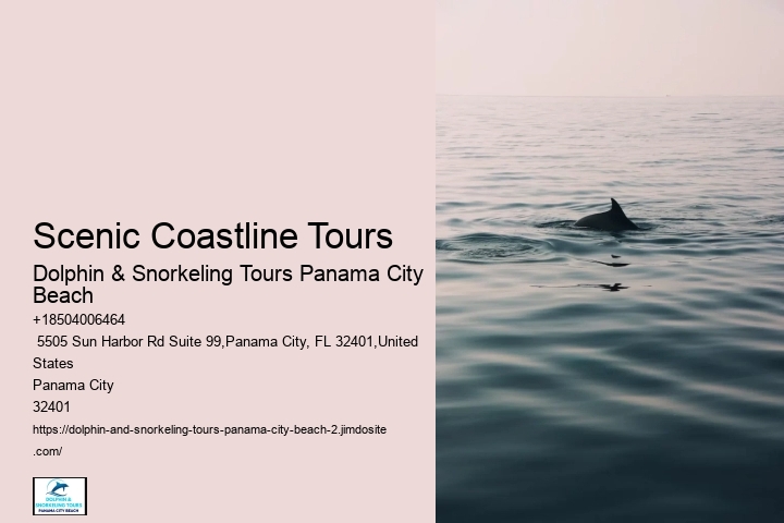 15 Incredible Places To Snorkel In Florida