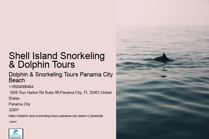 Dolphin & Snorkeling Tours
