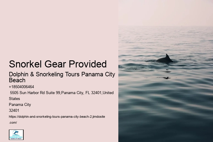 Where To Go Snorkeling Near Shell Island Florida