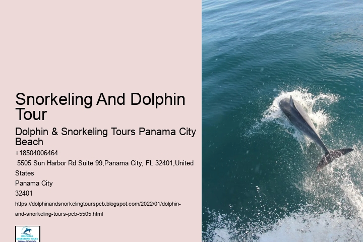 Snorkeling And Dolphin Tour