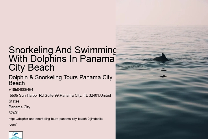 What Time Of Day Are Dolphins Most Active