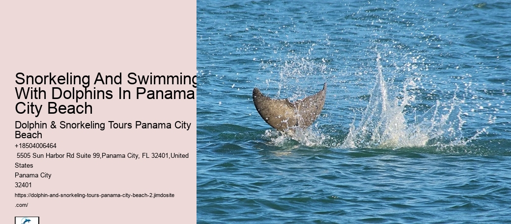 Panama City Dolphin