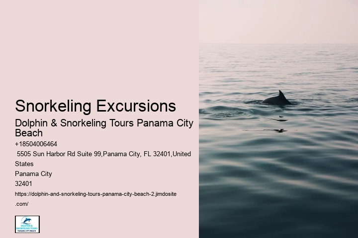 Encounter Sea Turtles