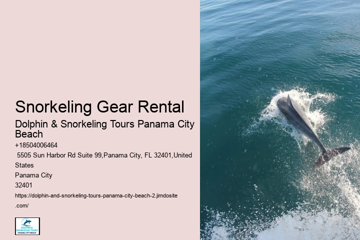Dolphin And Snorkeling Tours Panama City Beach